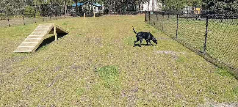 Newport Dog Park - Newport, NC