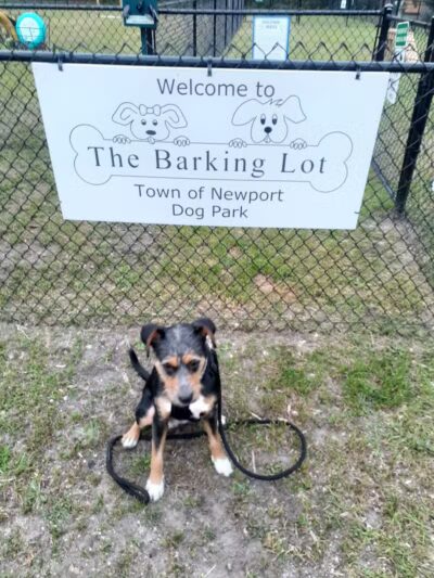 Newport Dog Park - Newport, NC
