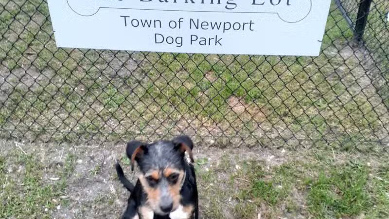 Newport Dog Park - Newport, NC