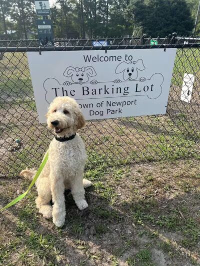 Newport Dog Park - Newport, NC