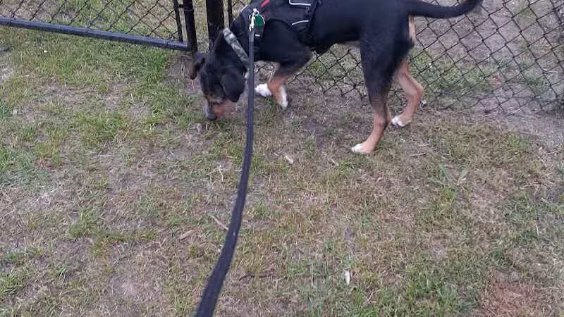 Newport Dog Park - Newport, NC