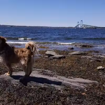 Battery Park - Newport, RI