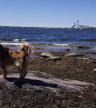 Battery Park - Newport, RI