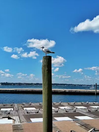 Fort Adams Bay Walk - Newport, RI