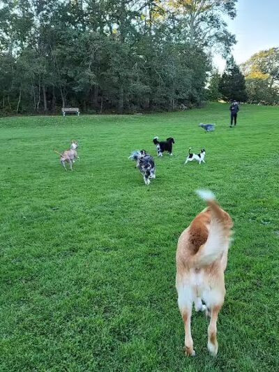 Morton Park - Newport, RI