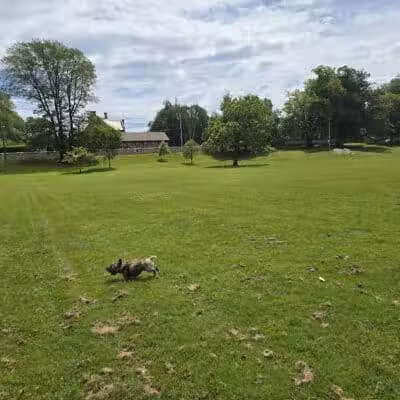 Morton Park - Newport, RI