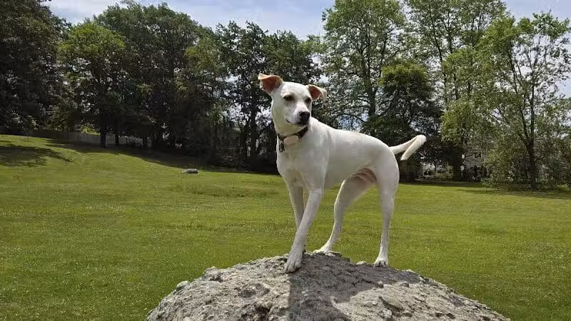 Morton Park - Newport, RI