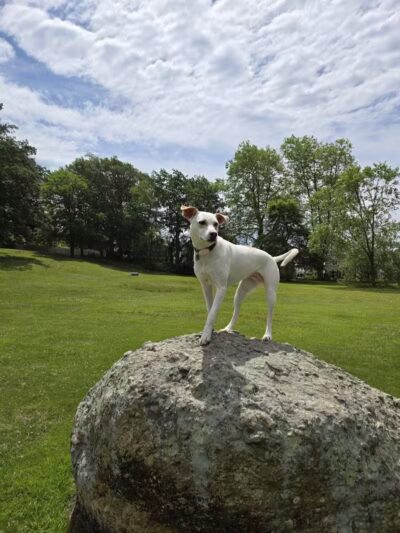 Morton Park - Newport, RI