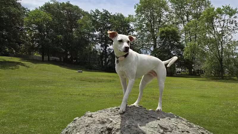 Morton Park - Newport, RI