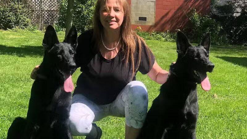 Newport Dog Park - Newport, RI