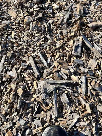 Newport Dog Park (new) - Newport, RI