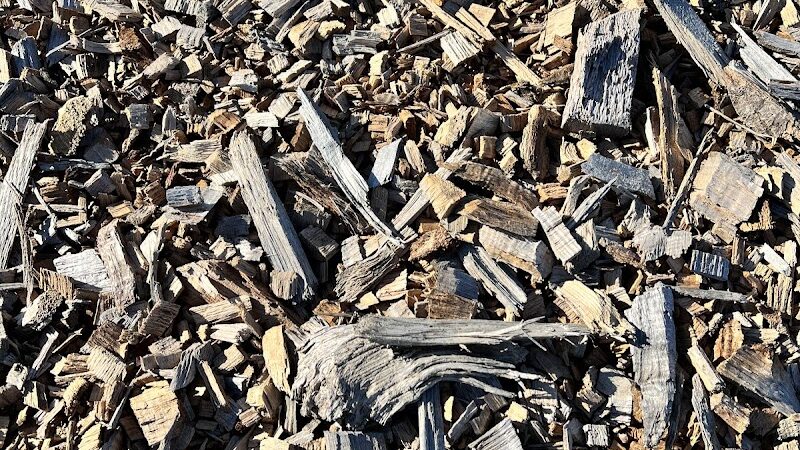 Newport Dog Park (new) - Newport, RI