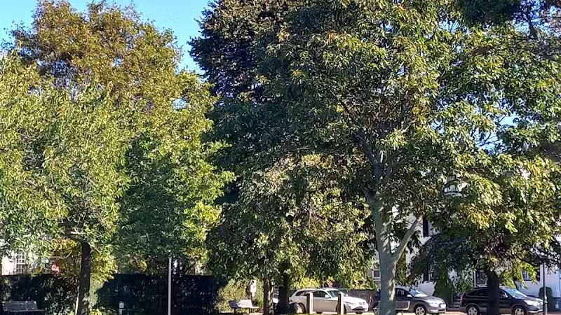 Storer Park - Newport, RI