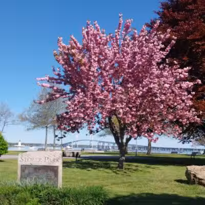 Storer Park - Newport, RI