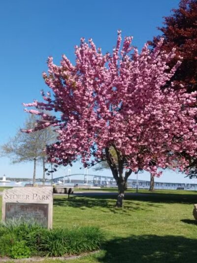 Storer Park - Newport, RI