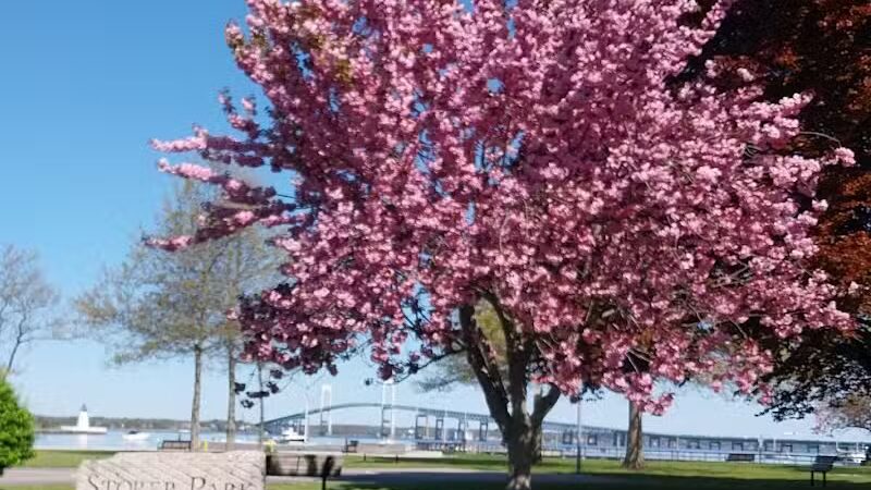 Storer Park - Newport, RI