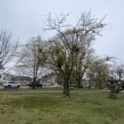 Touro Park - Newport, RI