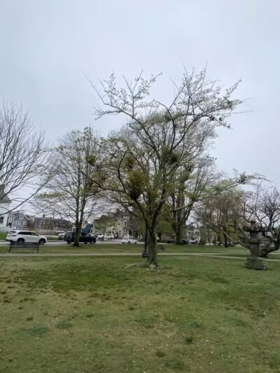 Touro Park - Newport, RI