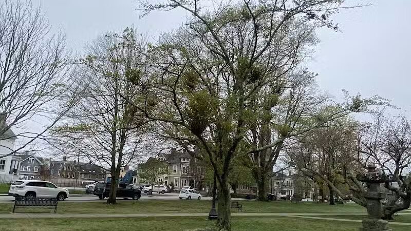 Touro Park - Newport, RI