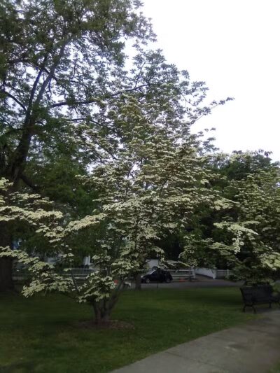 Touro Park - Newport, RI