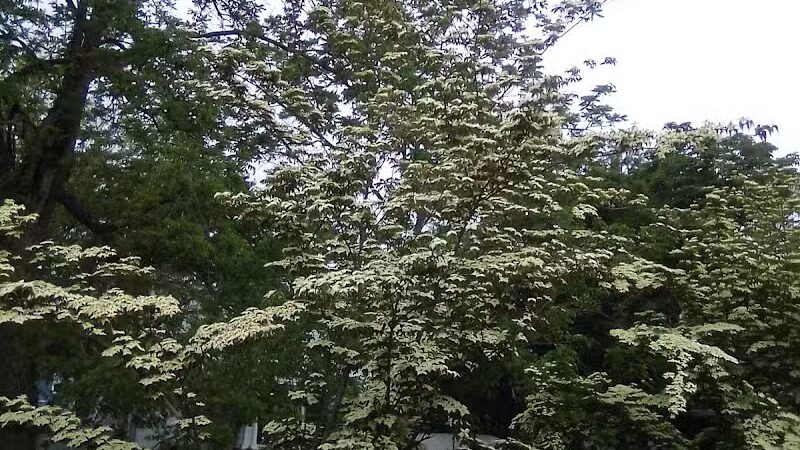 Touro Park - Newport, RI