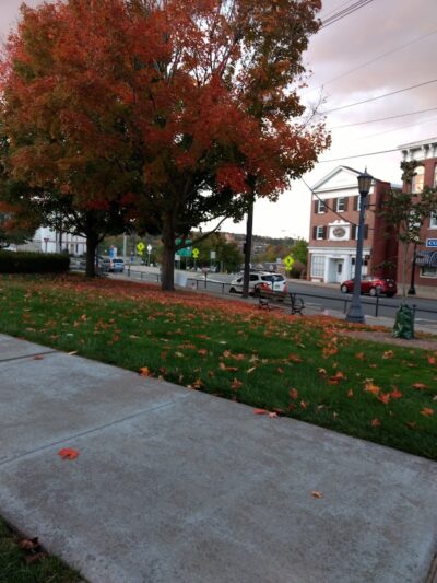 Sussex County Park Ada - Newton, NJ