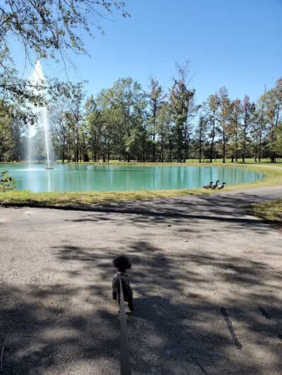 Caney Creek Park - Newton, TX