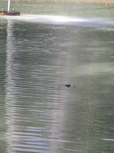 Caney Creek Park - Newton, TX