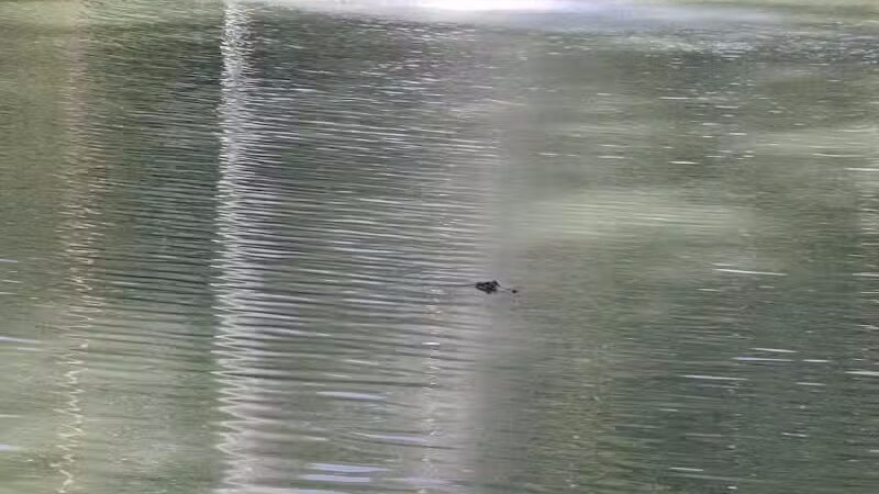 Caney Creek Park - Newton, TX