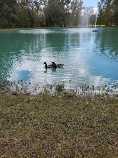 Caney Creek Park - Newton, TX