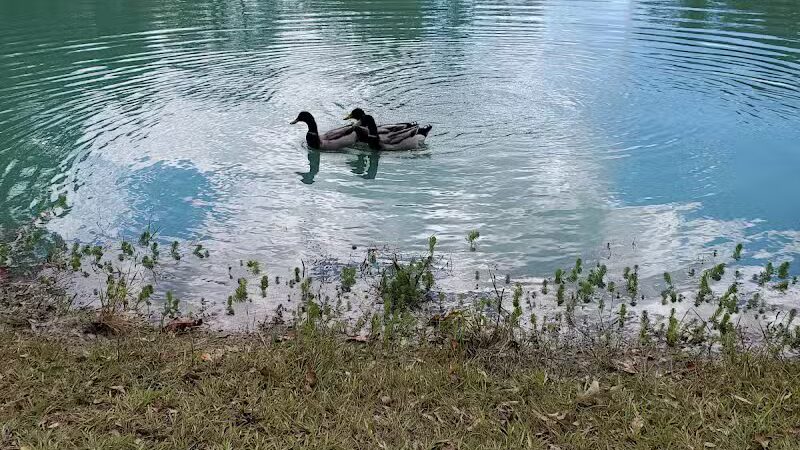 Caney Creek Park - Newton, TX