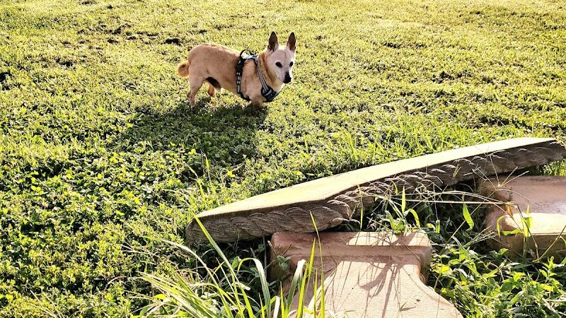 Jessamine County Dog Park - Nicholasville, KY