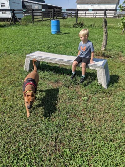 Jessamine County Dog Park - Nicholasville, KY