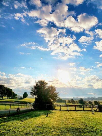 Jessamine County Dog Park - Nicholasville, KY