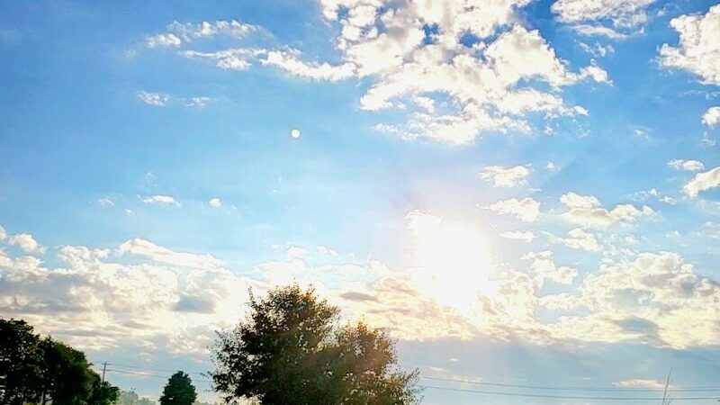 Jessamine County Dog Park - Nicholasville, KY