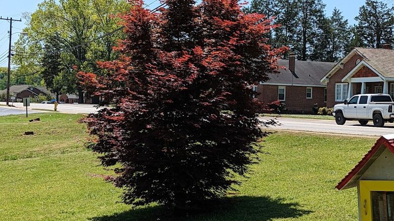 Ninety Six Town Trail - Ninety Six, SC