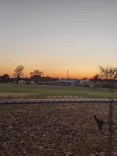 Nixa Dog Park - Nixa, MO