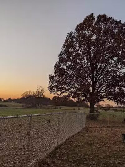 Nixa Dog Park - Nixa, MO