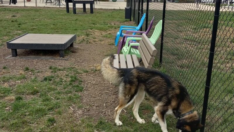 Hamilton Town Center Dog Park - Noblesville, IN