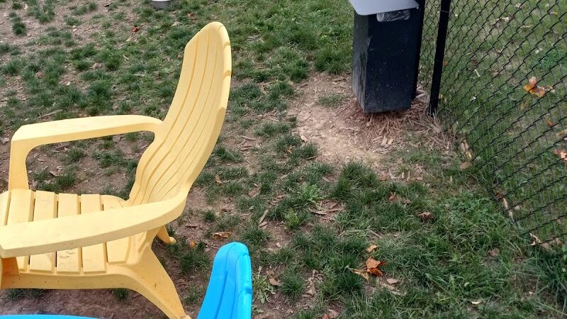 Hamilton Town Center Dog Park - Noblesville, IN