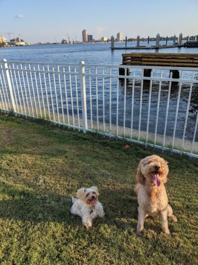 Bea Arthur Dog Park - Norfolk, VA