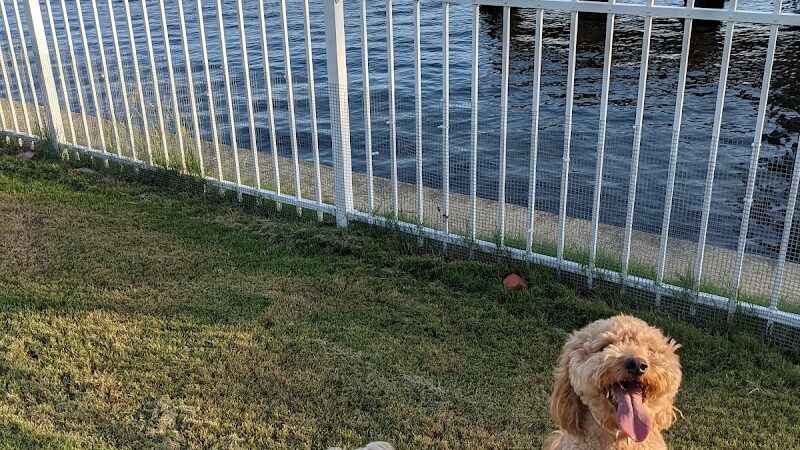 Bea Arthur Dog Park - Norfolk, VA