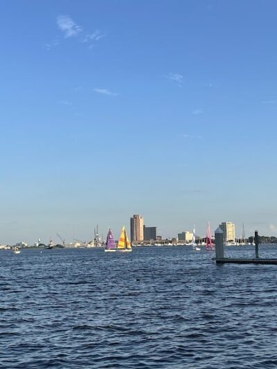 Bea Arthur Dog Park - Norfolk, VA