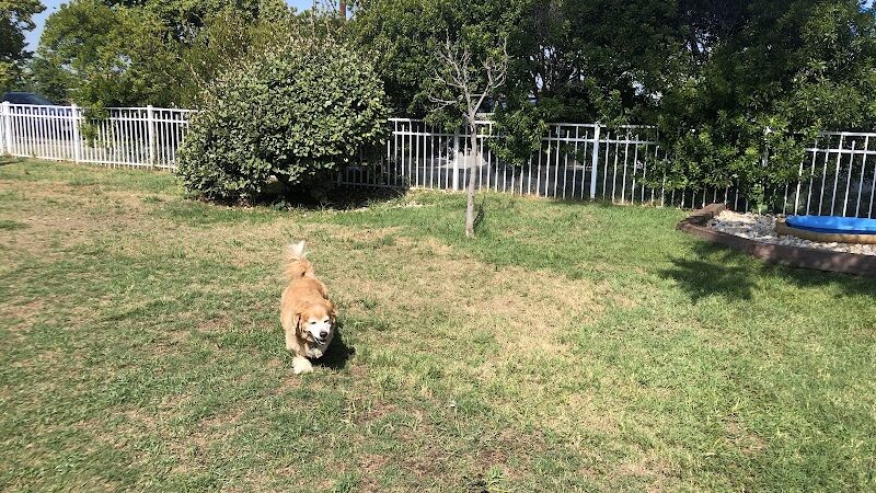 Bea Arthur Dog Park - Norfolk, VA