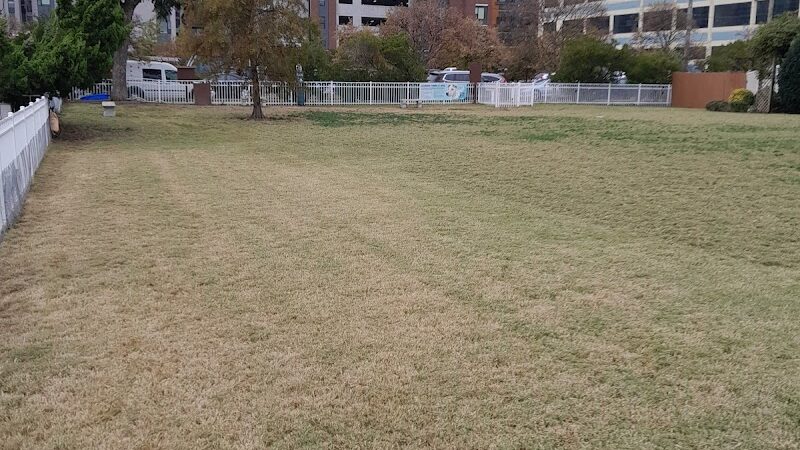 Bea Arthur Dog Park - Norfolk, VA