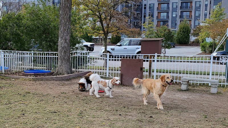 Bea Arthur Dog Park - Norfolk, VA