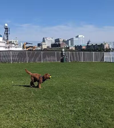 Bea Arthur Dog Park - Norfolk, VA