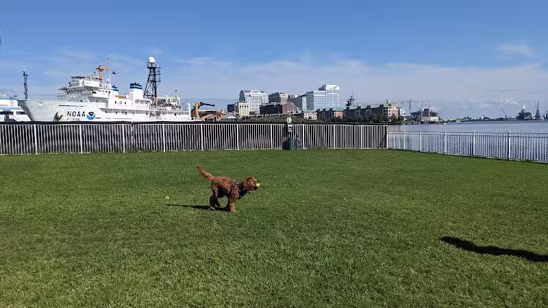 Bea Arthur Dog Park - Norfolk, VA