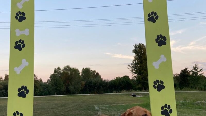 Maxwell Park Dog Park - Normal, IL