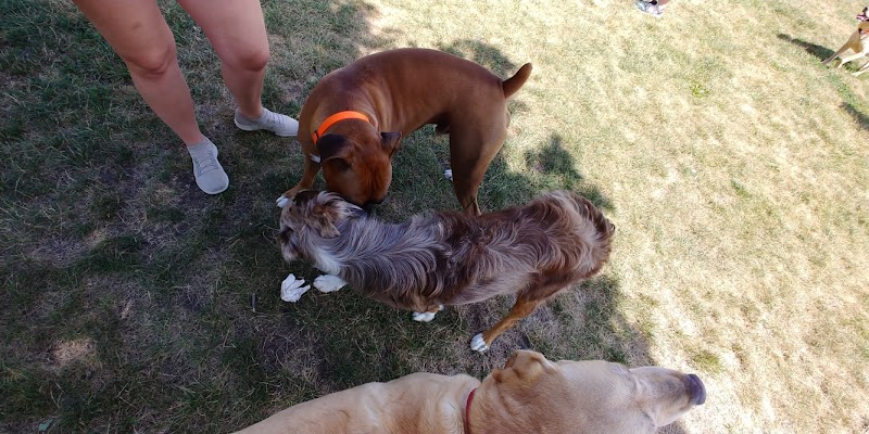 Maxwell Park Dog Park - Normal, IL